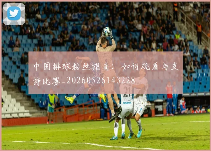 中国排球粉丝指南:如何观看与支持比赛_20260526143228