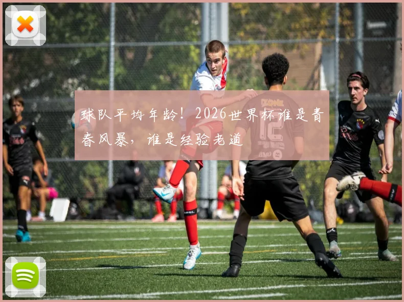 球队平均年龄！2026世界杯谁是青春风暴，谁是经验老道