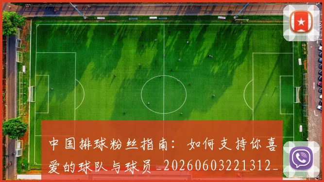 中国排球粉丝指南：如何支持你喜爱的球队与球员_20260603221312_20260703205137
