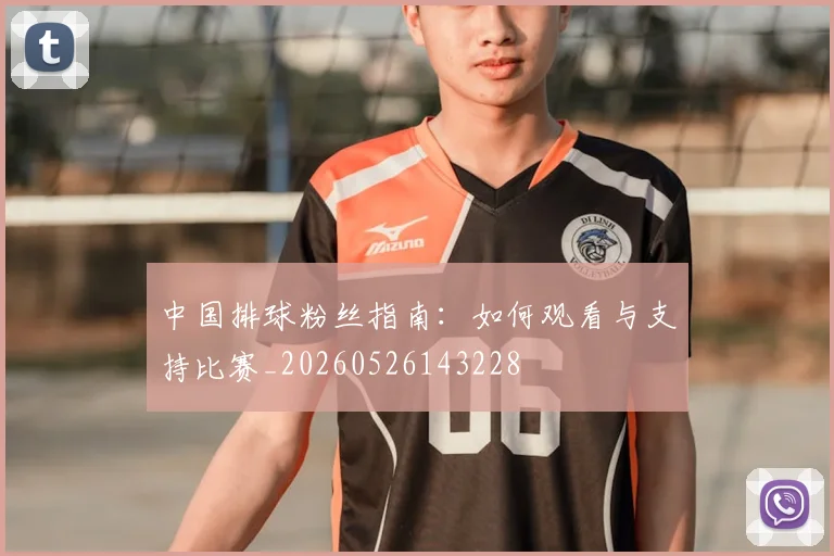 中国排球粉丝指南：如何观看与支持比赛_20260526143228